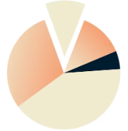 1xVPN Corporate VPN